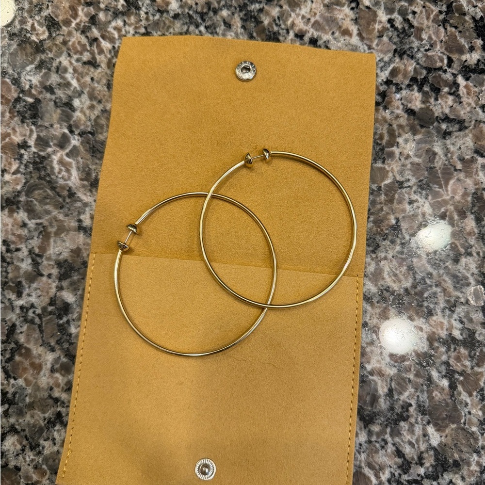 Jenny Bird Gold Large Icon Hoop Earrings